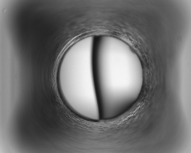 X0000099230007200804241239