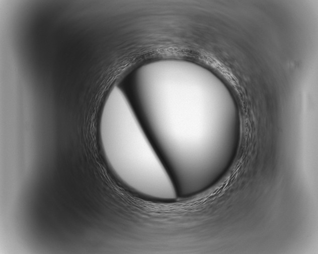 X0000099230009200804241239