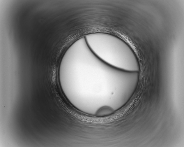 X0000099230010200804241239