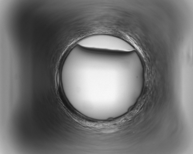 X0000099230011200804241239