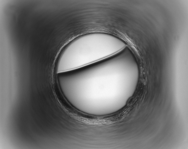 X0000099230012200804241238