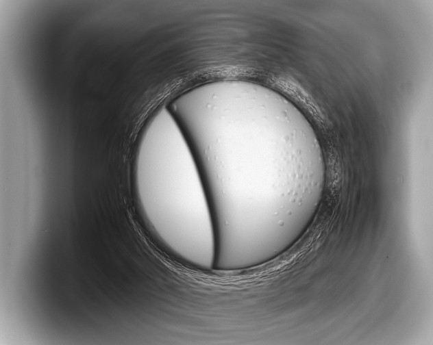 X0000099230014200804241238