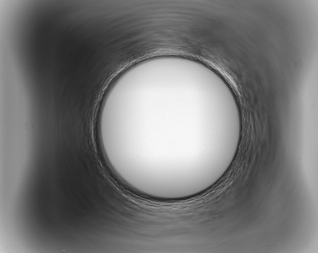 X0000099230015200804241238
