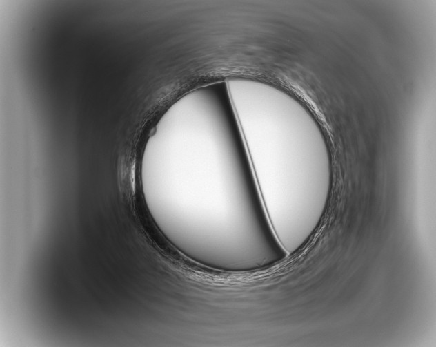X0000099230019200804241238