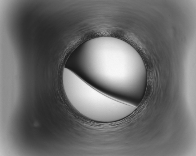 X0000099230023200804241238