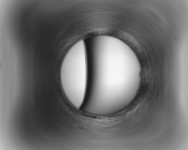 X0000099230024200804241238