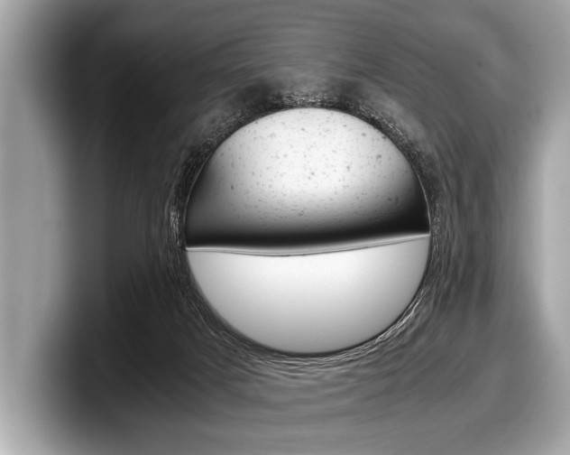 X0000099230025200804241238