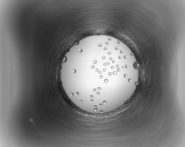 X0000099230026200804241238