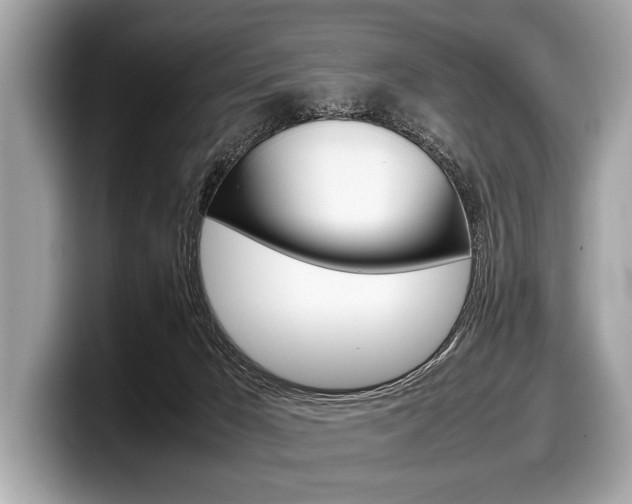X0000099230029200804241238