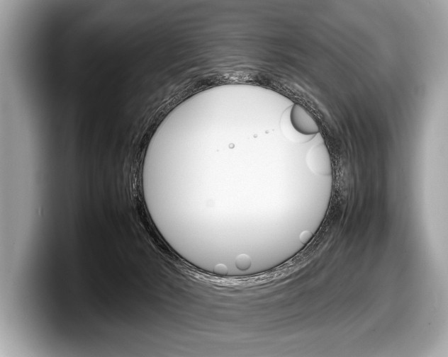 X0000099230030200804241238