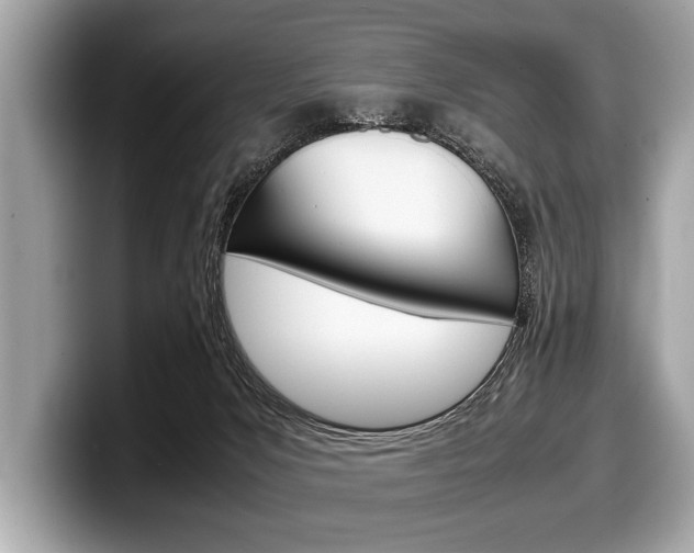 X0000099230031200804241238