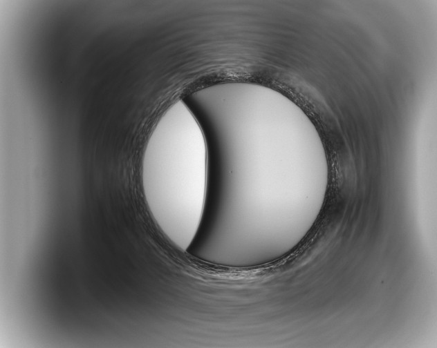 X0000099230032200804241238