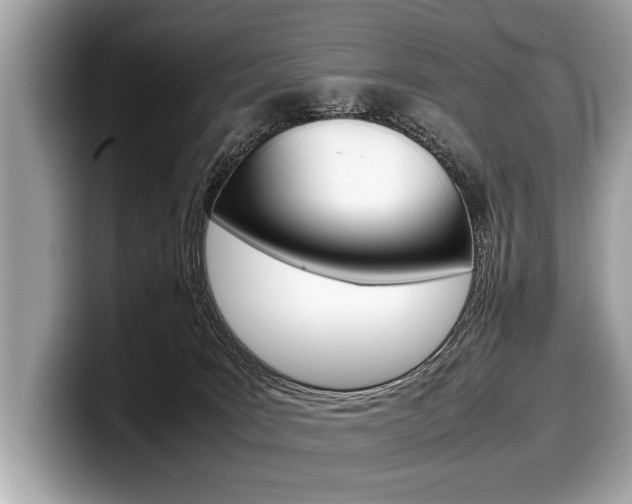 X0000099230035200804241238