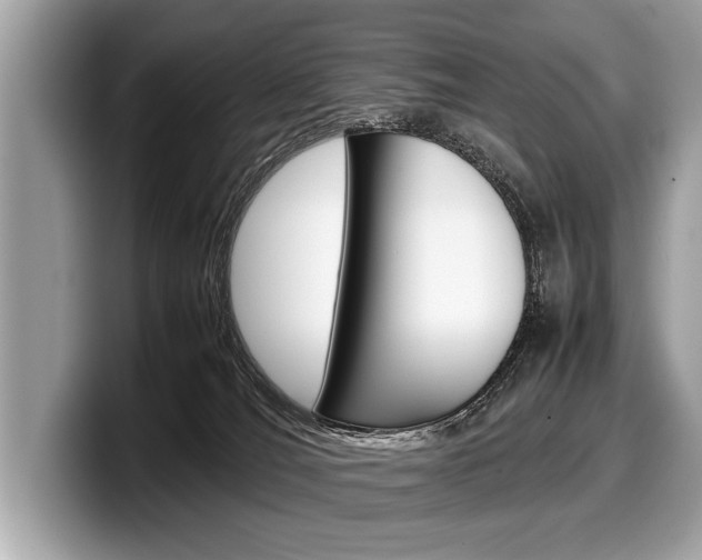X0000099230036200804241238