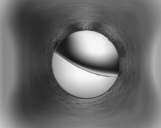 X0000099230039200804241238