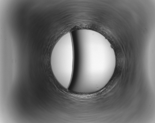 X0000099230040200804241238