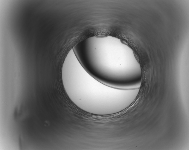 X0000099230041200804241238