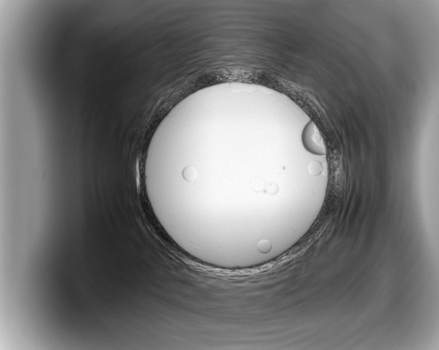 X0000099230042200804241238