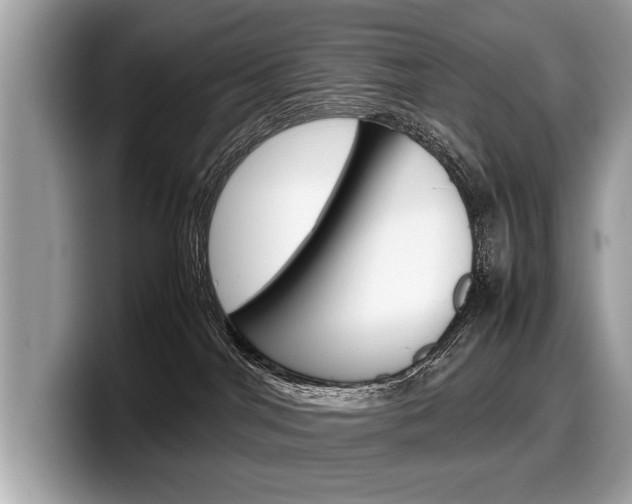 X0000099230044200804241238
