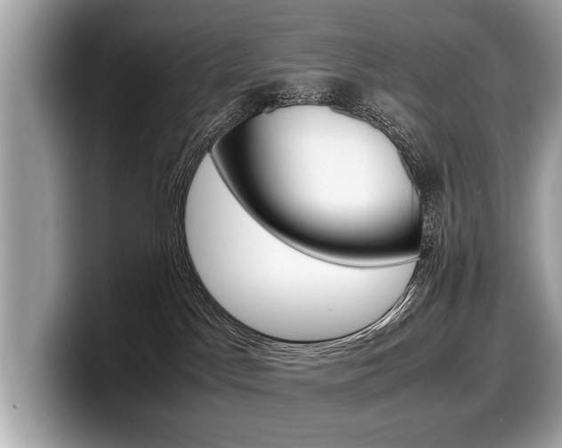 X0000099230045200804241238