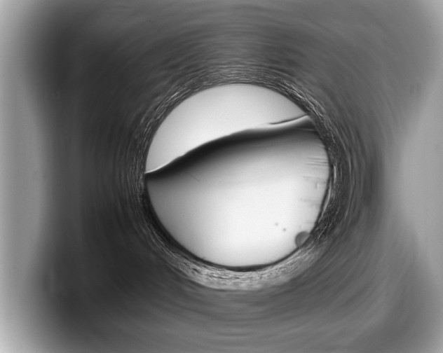 X0000099230048200804241238