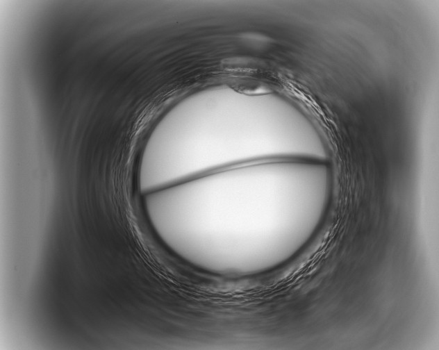X0000099230049200804241237