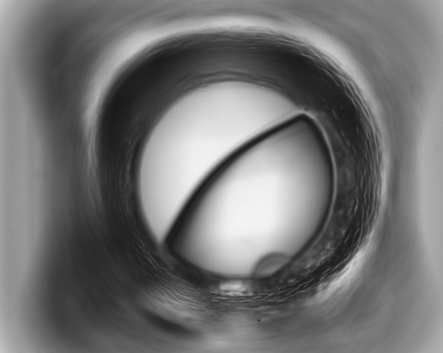 X0000099230050200804241237