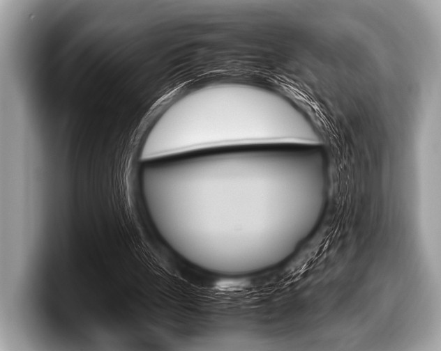X0000099230051200804241237