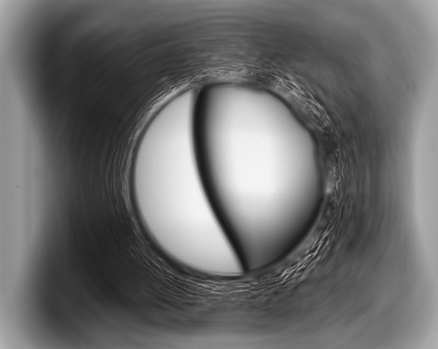 X0000099230052200804241237