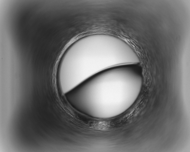X0000099230056200804241237