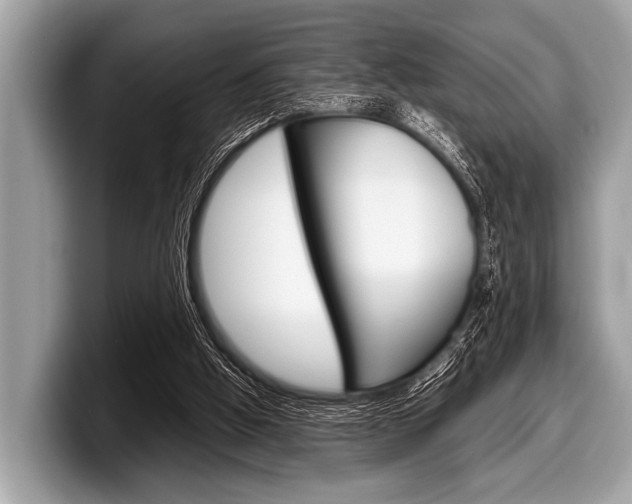 X0000099230058200804241237