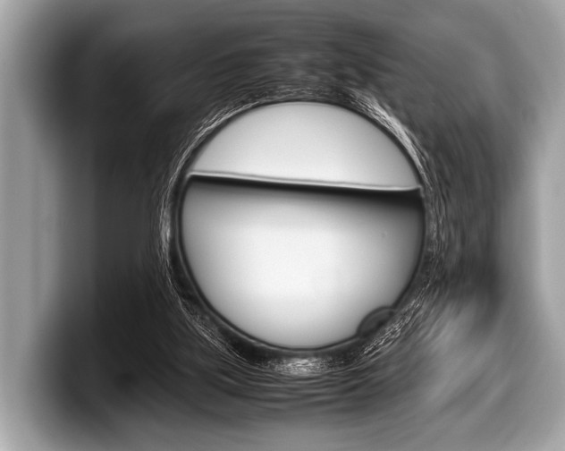 X0000099230059200804241238