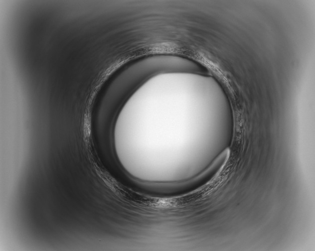 X0000099230060200804241238