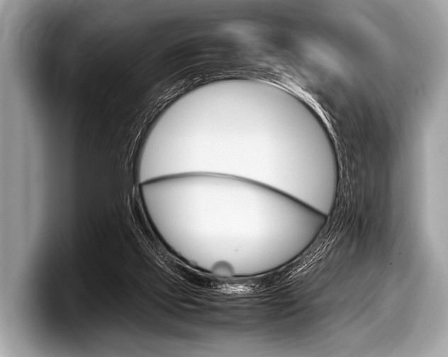 X0000099230061200804241238