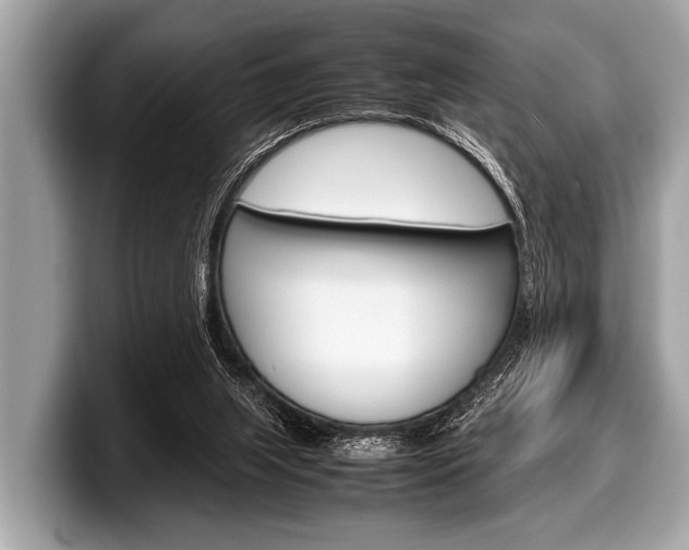 X0000099230063200804241238