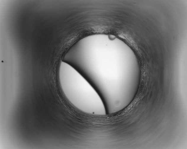 X0000099230066200804241238