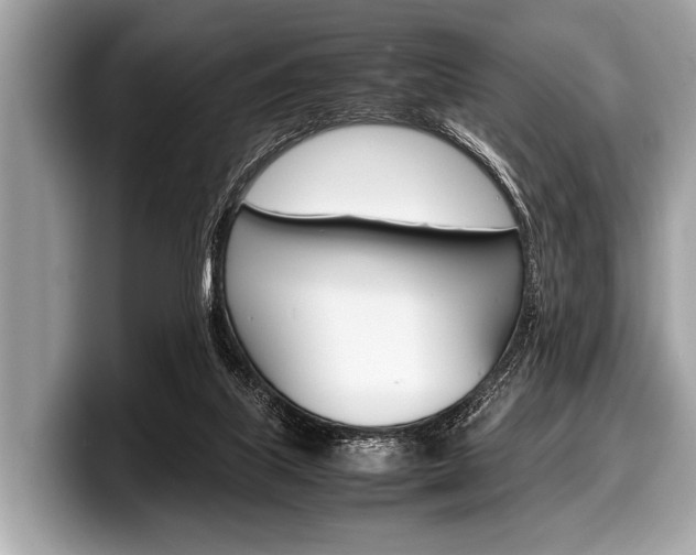 X0000099230067200804241238
