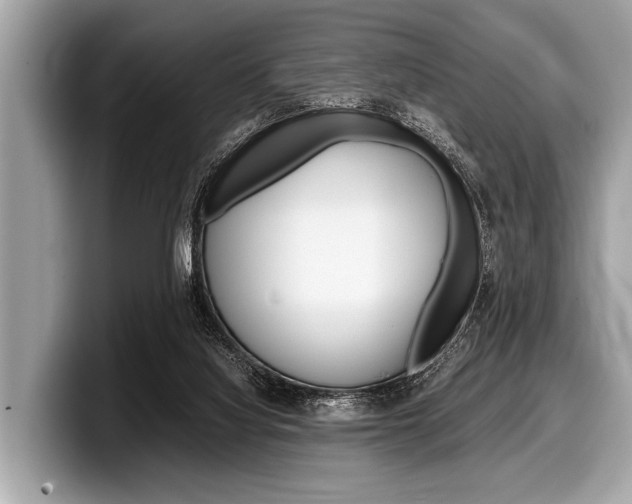 X0000099230068200804241238