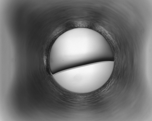 X0000099230071200804241238