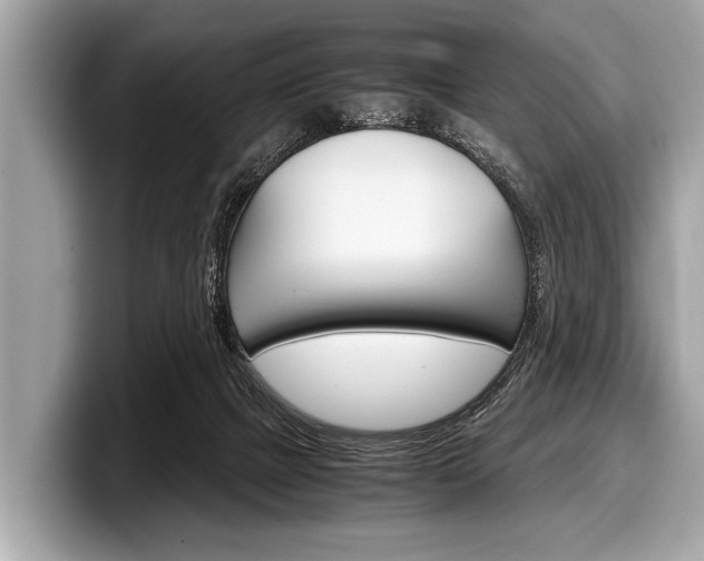 X0000099230073200804241238