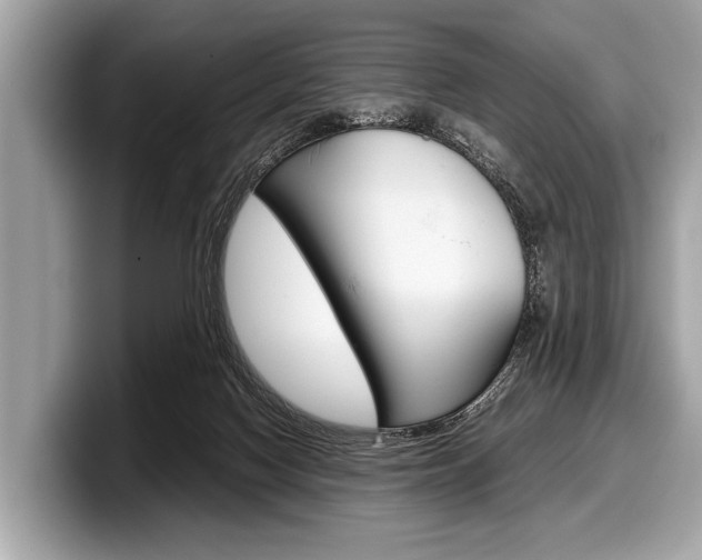 X0000099230074200804241238
