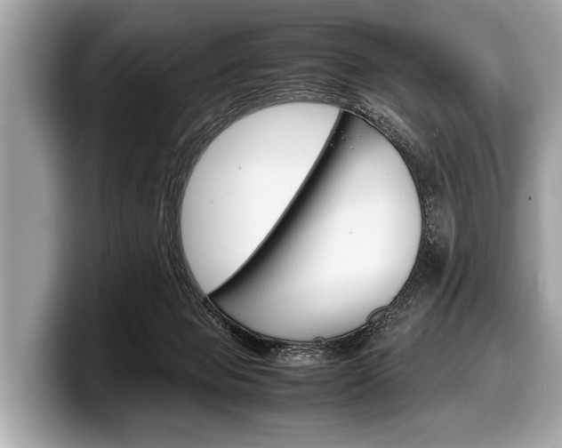 X0000099230077200804241238