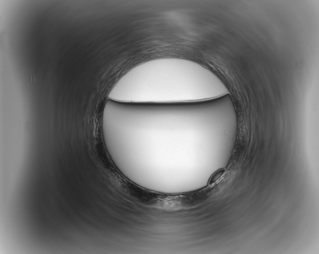 X0000099230078200804241238