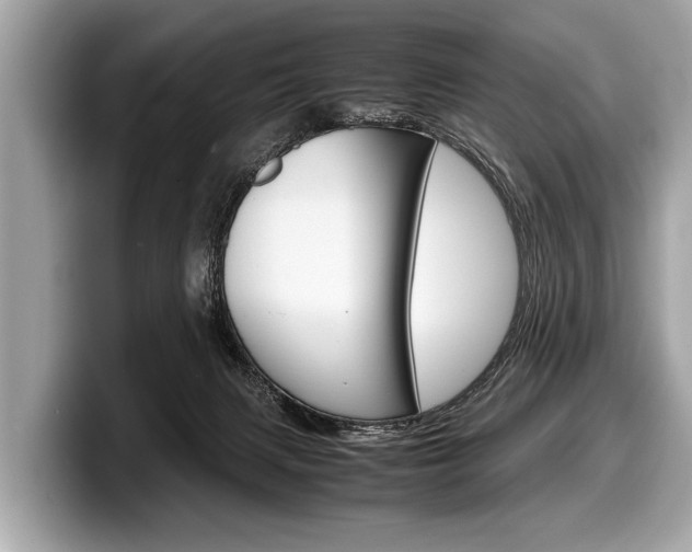 X0000099230079200804241238