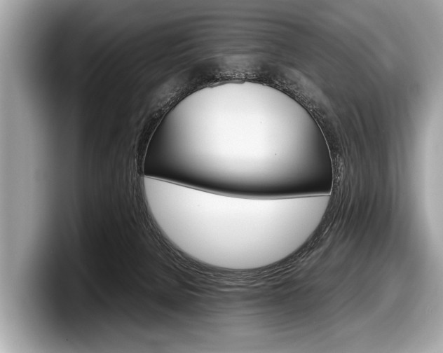 X0000099230080200804241238