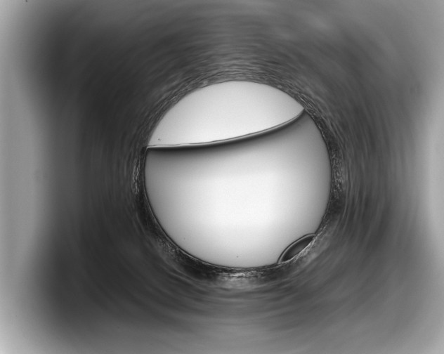 X0000099230082200804241238