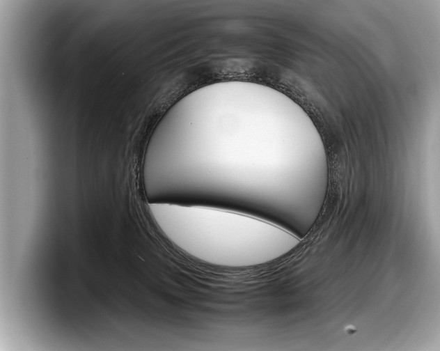 X0000099230083200804241238
