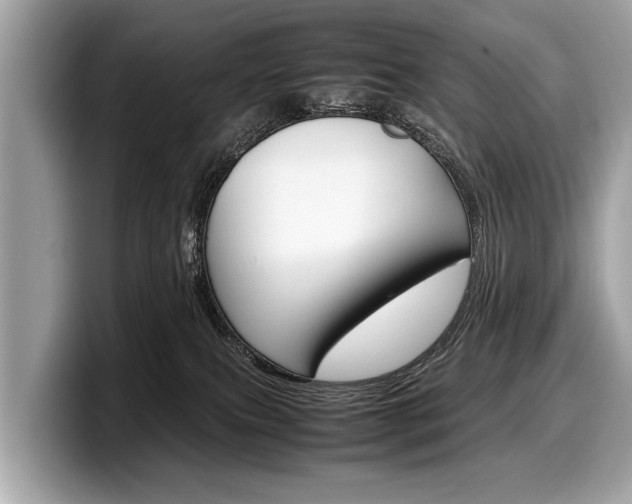 X0000099230087200804241238