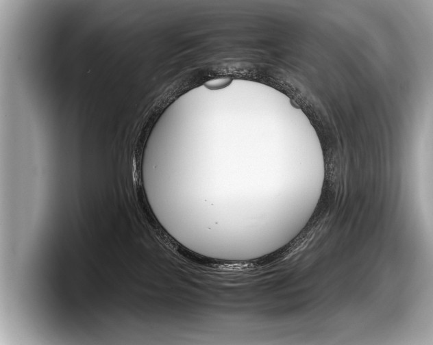 X0000099230089200804241238