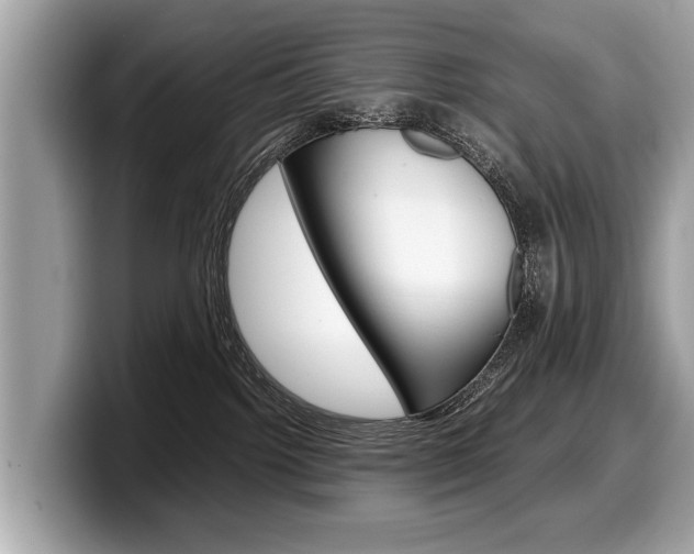 X0000099230092200804241238